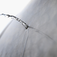 Image for article titled SecureDrop Safe From the New PGP Attack, So Please Continue Leaking All the Things